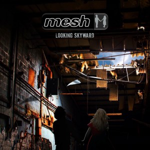 mesh-lookingskyward