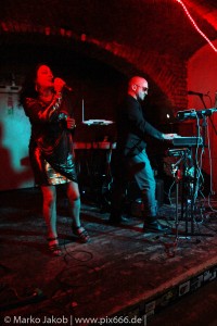THE FRIXION (25)